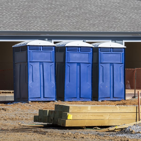 are there any restrictions on what items can be disposed of in the porta potties in Braswell GA